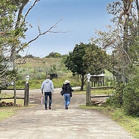 Zuurberg Mountain Village Addo Eksteriør billede